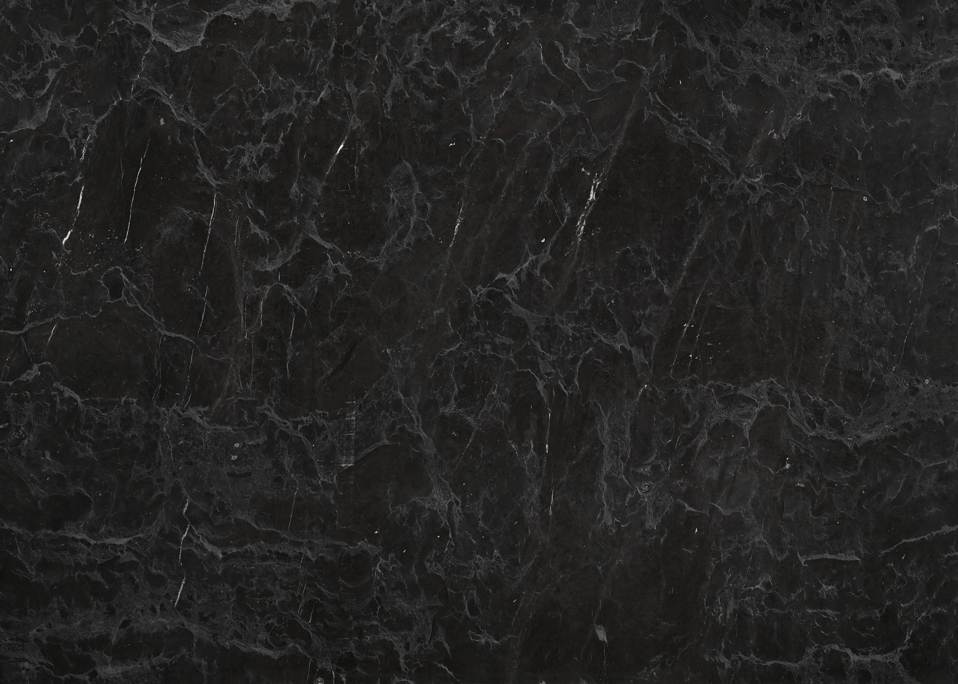 Taikoo Black Gold