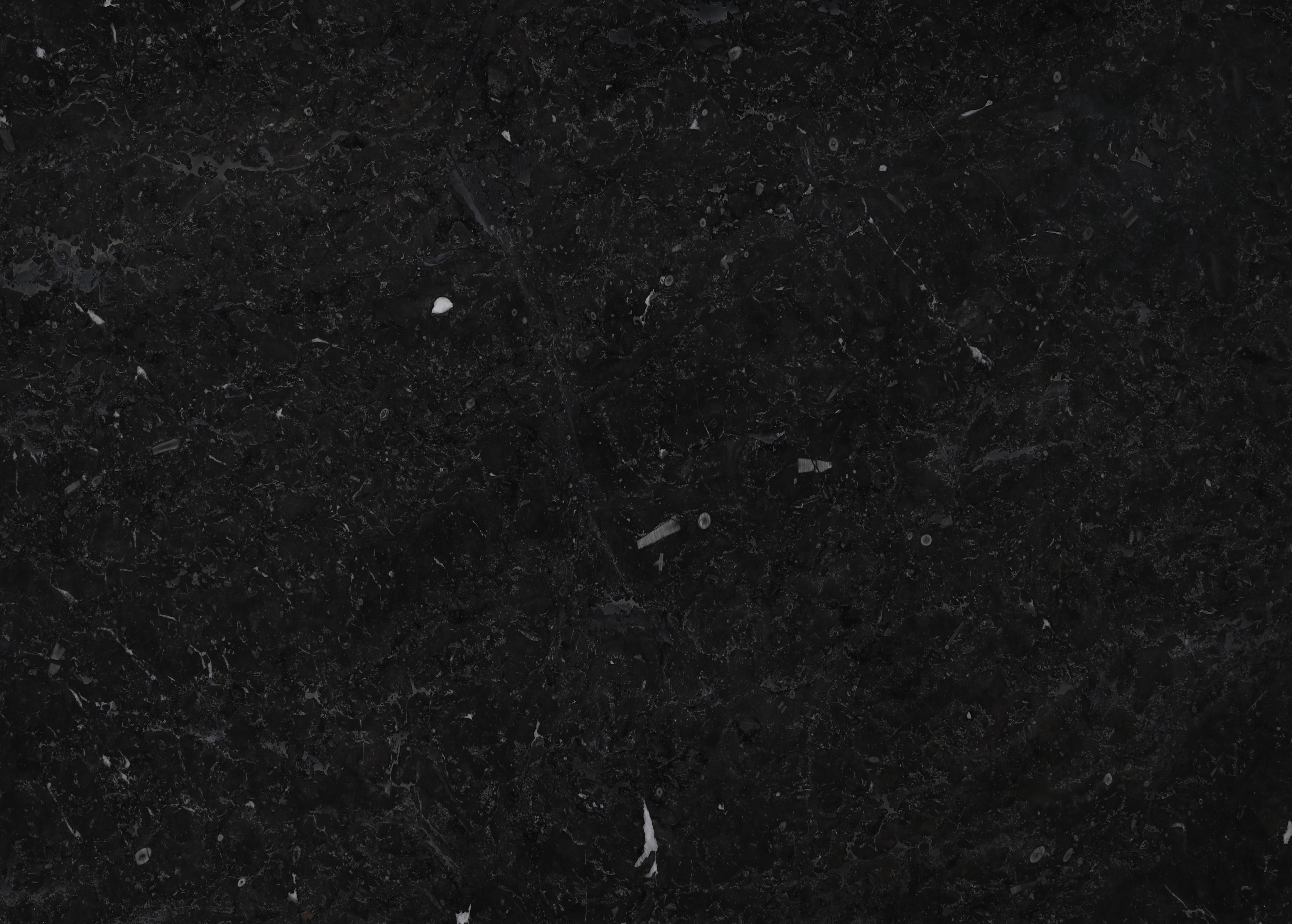 加拿大灰